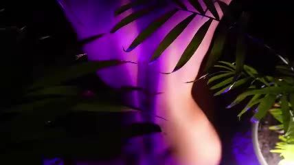 ajuicyanastasia online cam show — Female Chaturbate