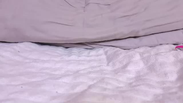 arinsun — cam stream 2026-08-13 14:11 · Female