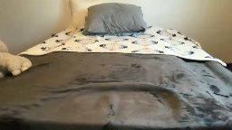 Chaturbate baby1865385 recorded webcam show (2026-03-30 13:40)