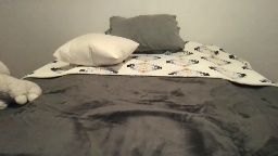 baby1865385 on Chaturbate — xxx show 2026-03-31 00:41