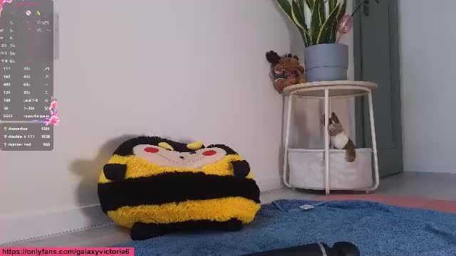 brilliantvictoria Chaturbate | webcam stream 2026-07-02 10:40
