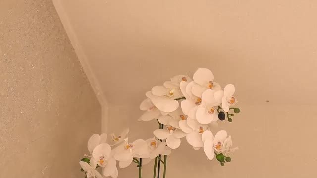 cassiemiles live on Chaturbate — live recording 2026-07-23 08:37