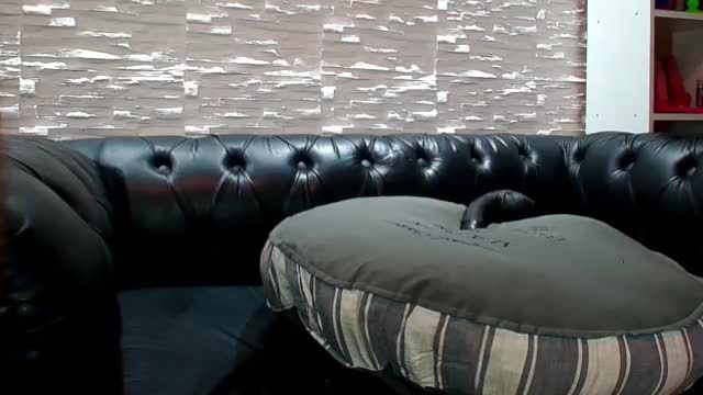 full cam show from creampienacia on Chaturbate 2026-08-14 13:48