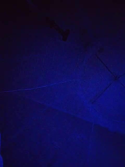 cybersiren Bongacams porn rip (2026-08-23 05:53)