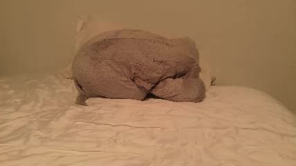 ellalowe Chaturbate · cam video · 2026-10-06 03:18
