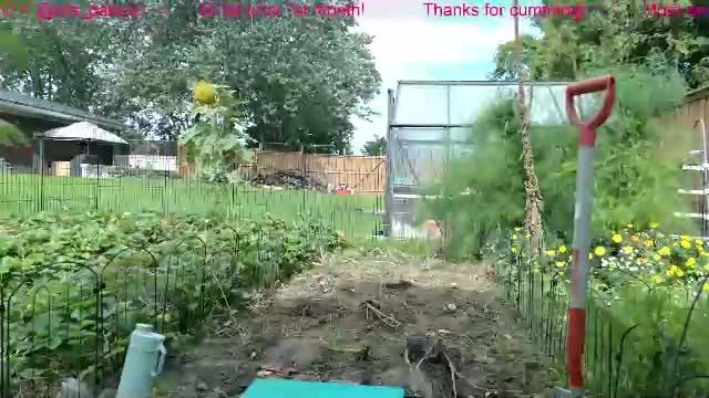 ells_palace / xxx show / Chaturbate / 2026-09-23 17:13