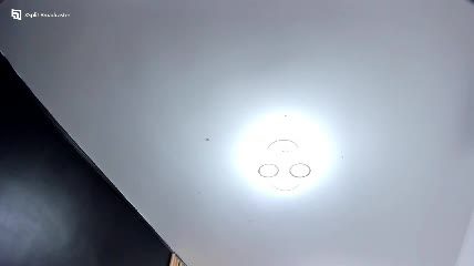 fireflowers_: Chaturbate xxx cam show 2026-10-11 02:10