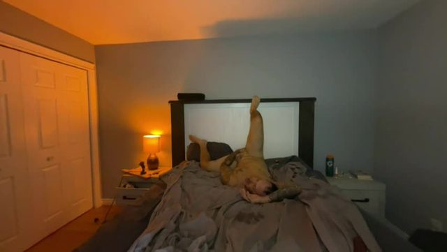fit_fuckers | webcam broadcast | 2026-08-22 09:05