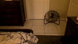 fortmyers1983's Chaturbate live show — 2026-08-23 16:48