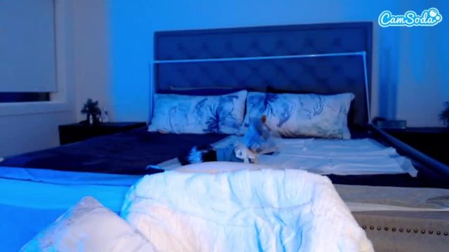 goddesscharliedollie livestream recording streamed on Camsoda 2026-10-23 05:14
