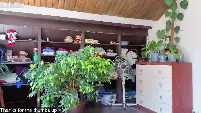 hell_l0ve — online cam show archive · Chaturbate 2026-06-20 08:47