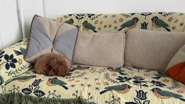 hey__lucy live recording (39 min) · Female