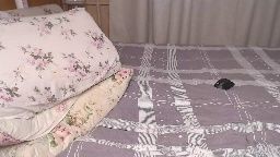 hornylland Chaturbate — xxx rip 2026-07-03 21:29