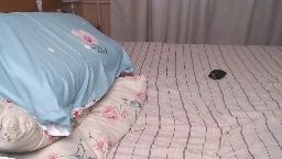 hornylland at Chaturbate live webcam show 2026-07-09 00:43
