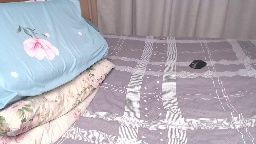 hornylland: cam show (2026-08-09 20:32)