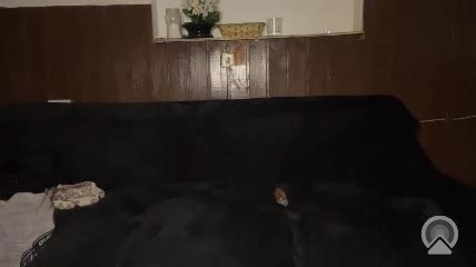 ikfc800 hardcore cam show (Chaturbate) — 11 min