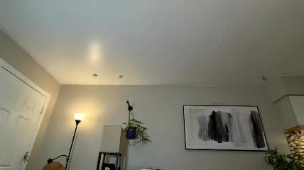 Chaturbate jadeee__ivy live cam session 2026-07-28 21:54