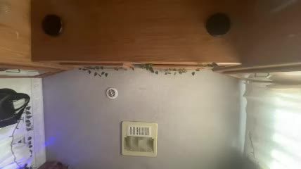 kalawtay — Chaturbate cam video (2026-10-14 16:03)