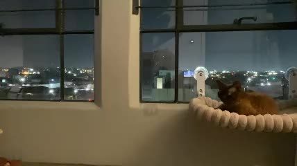 kirill_cutes cam show video (2026-08-04 09:59) — Chaturbate