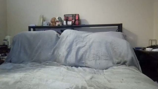 kittendiva42 live on Chaturbate — online cam show