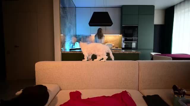 love_you_to123 webcam recording (Chaturbate) 2026-07-06 06:56