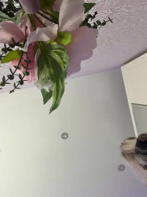 Lovensesgirl — the porn rip from BongaCams, 2026-10-26 08:35