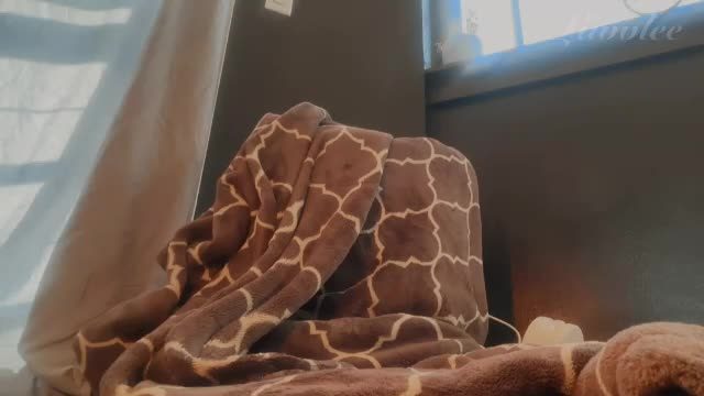 luvvlee — 22 min live cam recording on Chaturbate