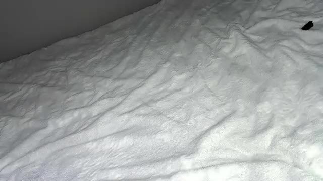 marlenamarschel fuck show (2026-10-02 11:34)
