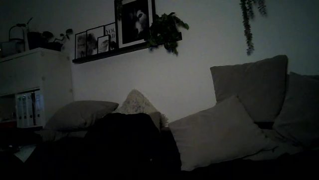 may4jay Chaturbate — live recording 2026-07-20 21:56