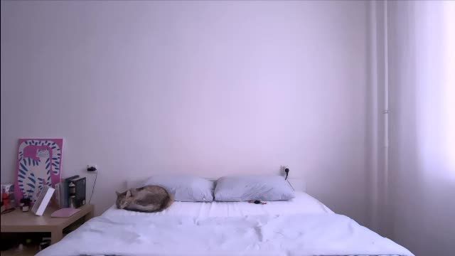 milky__way_ cam broadcast from Chaturbate on 2026-07-29 18:02