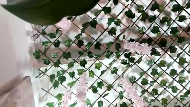 miss_selene — 33 min cam rip · Female