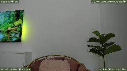 misspinkroom · live show · 9 min · 2026-07-13 00:48