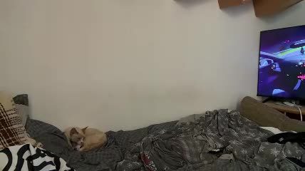 mlaudia — porn cam show (Chaturbate) 2026-10-11 10:56