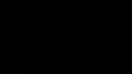 newby101's fuck show (Chaturbate, 2026-09-02 13:17)