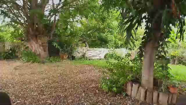 paoguerrax354 live cam recording (49 min) Chaturbate