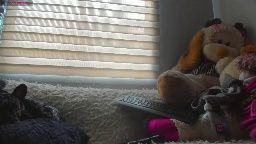 pocahontas_d live on Chaturbate — live cam recording 2026-08-09 15:50