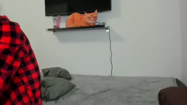 raveneusbiter — webcam stream 2026-10-14 10:07 · 11 min
