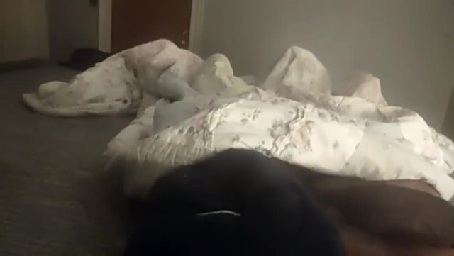 razor20221 porn cam show (8 min) 2026-07-04 07:32