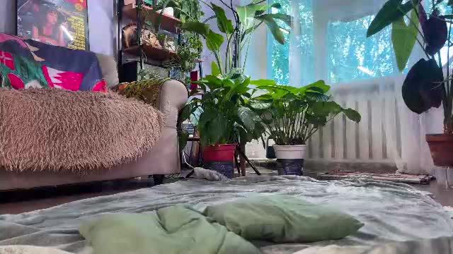 sasha_moormeoow hardcore cam show (2026-09-07 09:21)