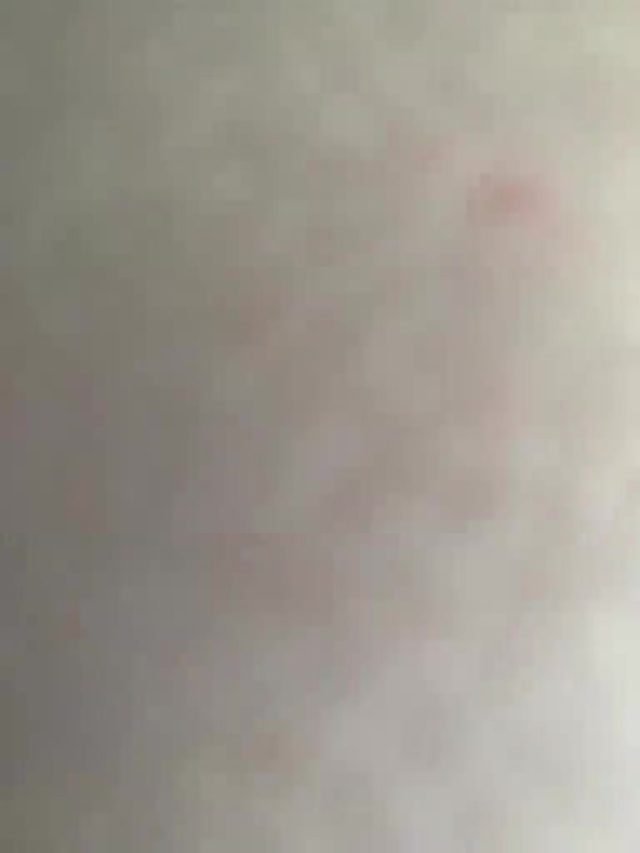 sex-education: livestream recording — Bongacams 2026-08-12 15:45