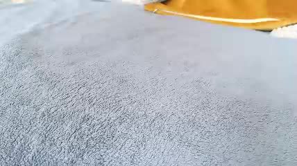 single_fox_4u's livestream recording — recorded 2026-08-27 12:42