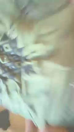 swandtw webcam session (Chaturbate) — 11 min