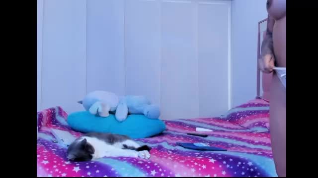 tamy_ian · fuck show · 33 min · 2026-10-11 23:29