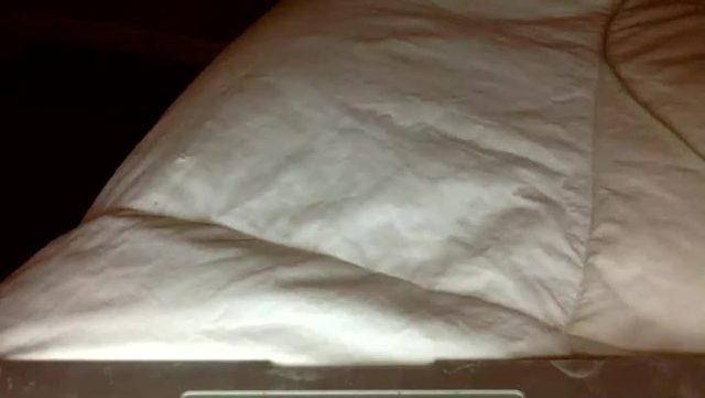 ttess0742: streamed cam show (2026-07-03 10:00)