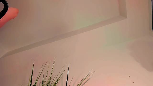 velvet_poison Female fuck show · 25 min