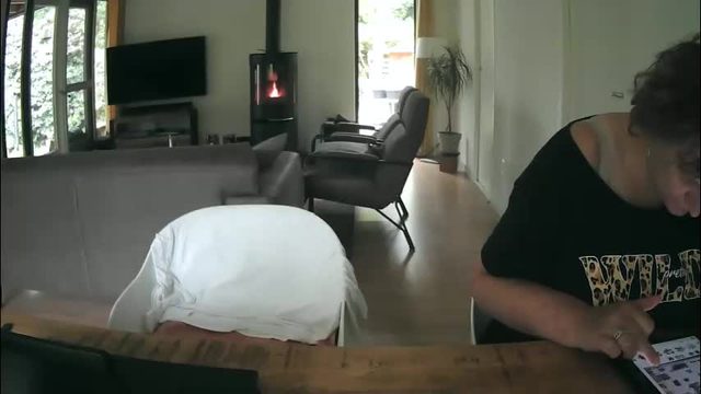 woodwurm live cam recording (2026-05-17 13:31, 49 min)